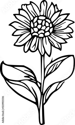 Flower line art illustration, floral vector drawing