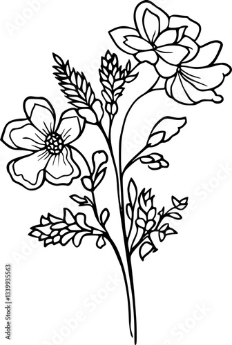 Flower line art illustration, floral vector drawing