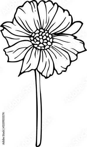 Flower line art illustration, floral vector drawing