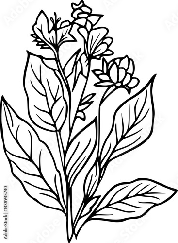 bouquet of flowers in line art drawing