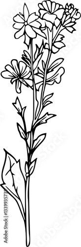 vector illustration of a tree branch, flower in line art