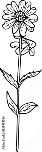 black and white flower