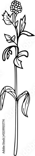 Line art flower vector drawing