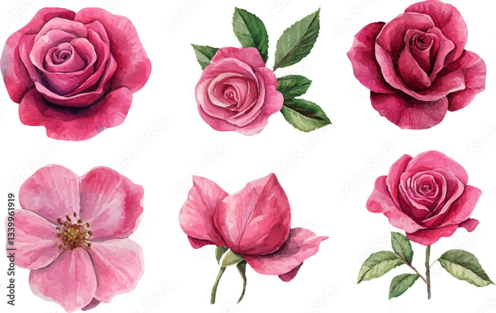 Naklejka premium Watercolor illustration of rose flower 