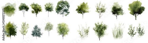 Watercolor illustration collection of green trees. isolated on white or transparent background.