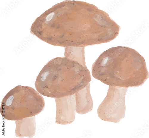 Close-up of brown edible mushrooms on white background