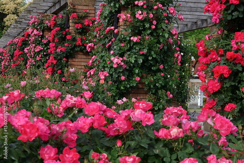 Wallpaper Mural 花の女王 Torontodigital.ca