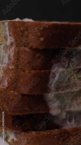 Moldy bread close-up on a dark background