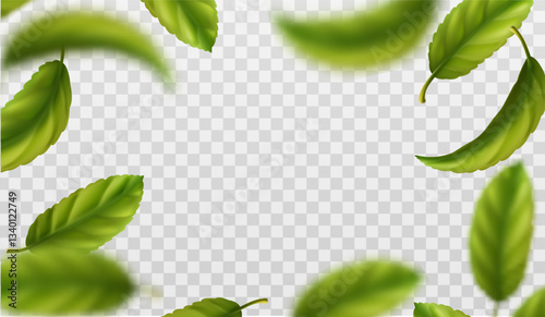 3d realistic vector icon illustration. Frame made of green tea leaves isolated on background. 