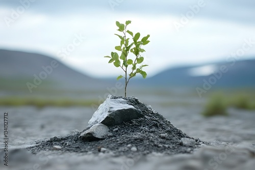 Sprout of Hope: Purposeful Living Plant