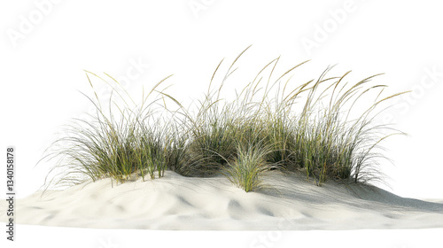 Obraz na płótnie Beach grass growing on white sand dune with transparent background w salonie