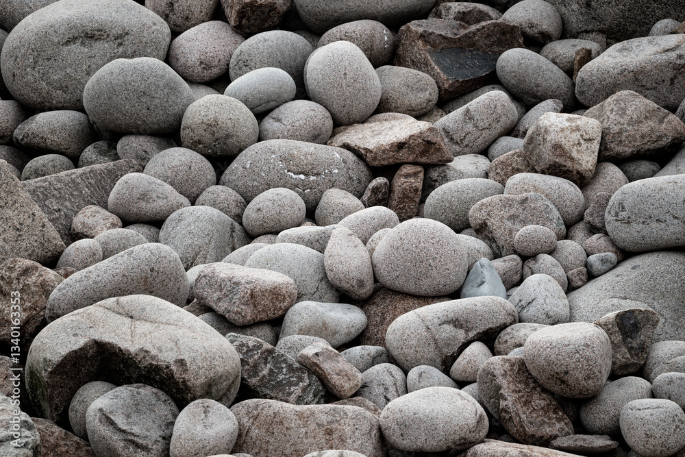 Smooth Gray Rocks Cover The Shore Of Acadia