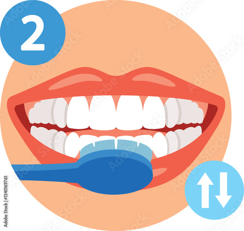 Brush teeth correctly vector illustration