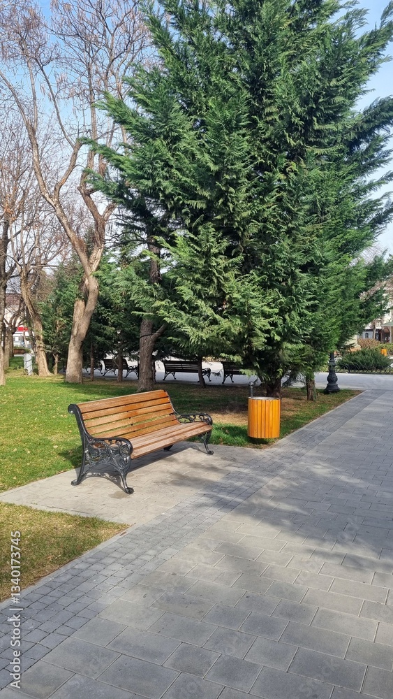 Park Bench Serenity: A serene scene of a park bench, nestled amongst lush greenery and a towering tree, inviting moments of quiet contemplation.