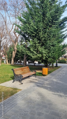 Park Bench Serenity: A serene scene of a park bench, nestled amongst lush greenery and a towering tree, inviting moments of quiet contemplation.