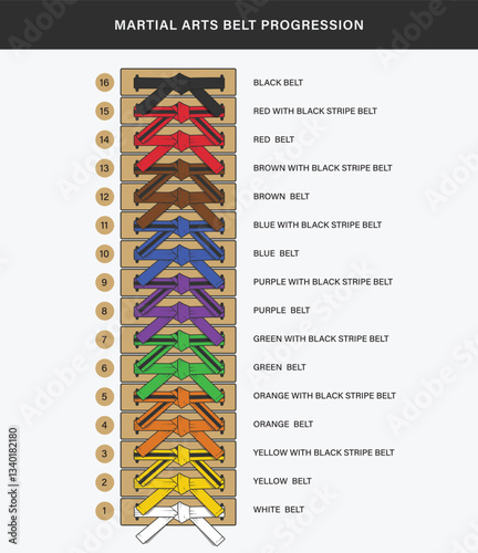 Martial Arts Belt Progression design illustration