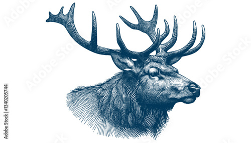 elk vector illustration