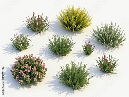 3D Render of Assorted Colorful Shrubs and Bushes for Landscaping Design