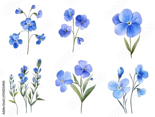 Watercolor Blue Flowers  Floral Elements  Botanical Illustration