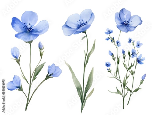 Fototapeta Naklejka Na Ścianę i Meble -  Watercolor Blue Flax Flowers Botanical Illustration