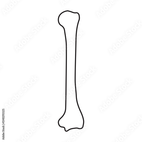 humerus bone posterior line icon
