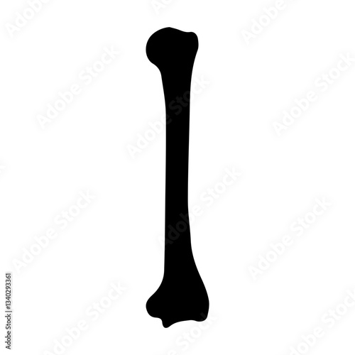 humerus bone posterior glyph icon photo