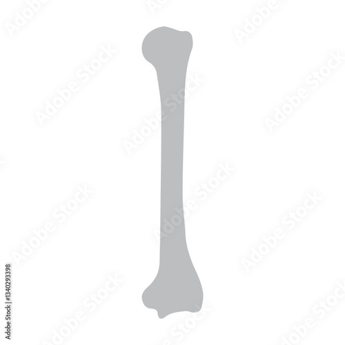 humerus bone posterior icon