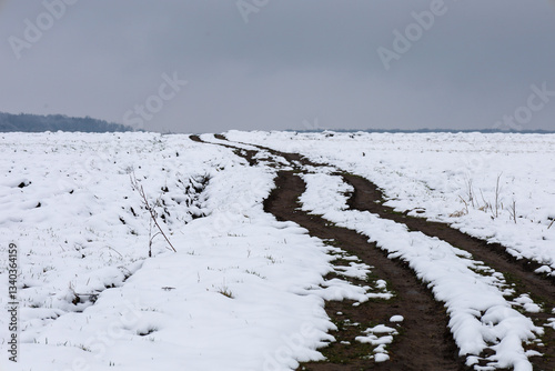 Wallpaper Mural The photograph shows a winter landscape with a road running through a snow-covered field. The road winds, leaving dark tracks on the white snow, creating contrast and depth. Torontodigital.ca