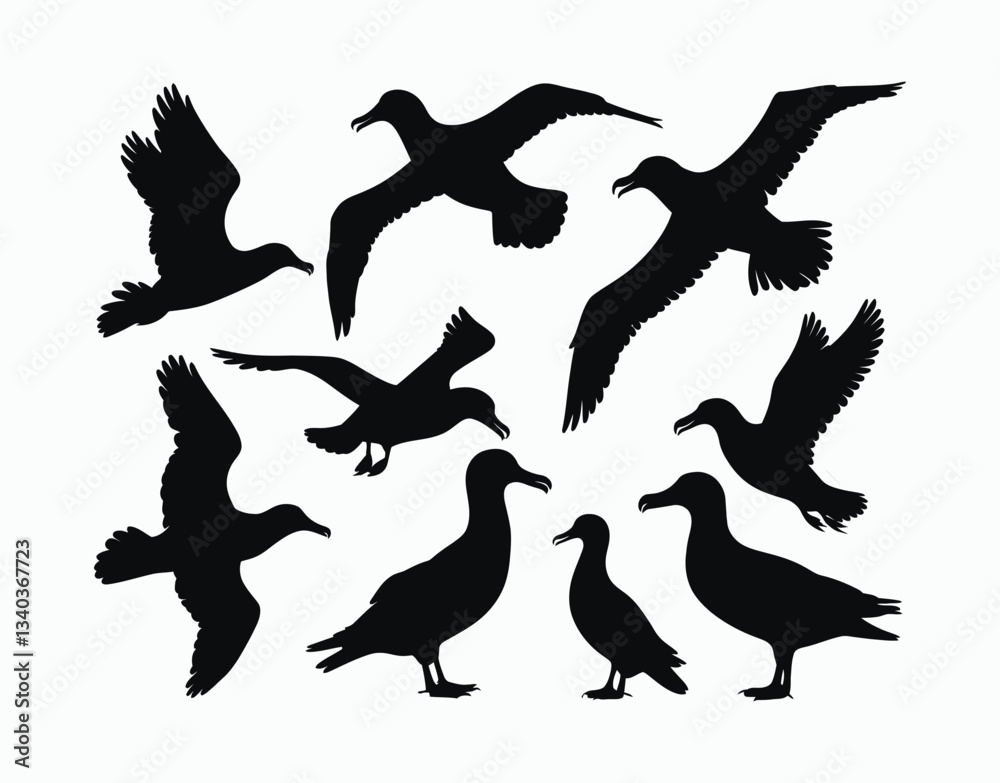 Obraz premium Simple Albatross Silhouette EPS Vector Template Illustration