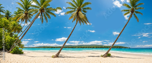 tropical beach with leaning...