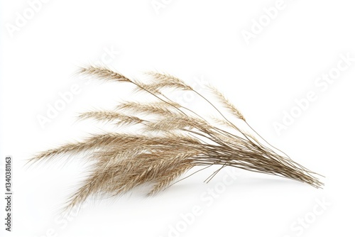 Dried wheat stalks isolated on white background photo