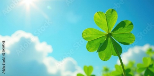 Four-leafed clover against a bright blue sky with fluffy white clouds and sunshine, garden, blue , landscape
