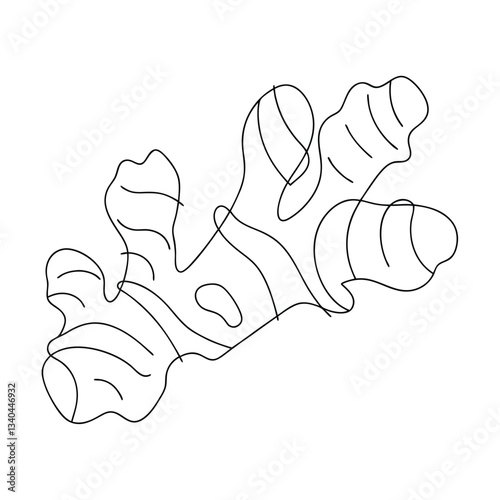 Ginger Root Illustration OneLine Drawing, Spicy Herb, Culinary Art