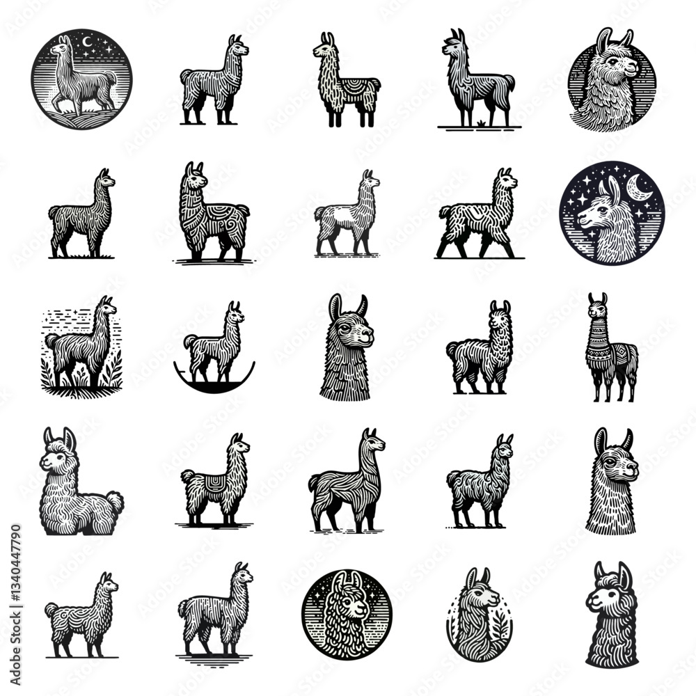Obraz premium Llama alpaca engrave logo icon design illustration