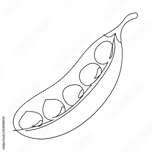 SingleLine Drawing of Peas in a Pod, Fresh Vegetable