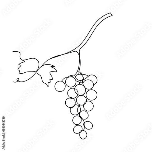 Elegant Line Art Drawing of Grapes on Vine Branch