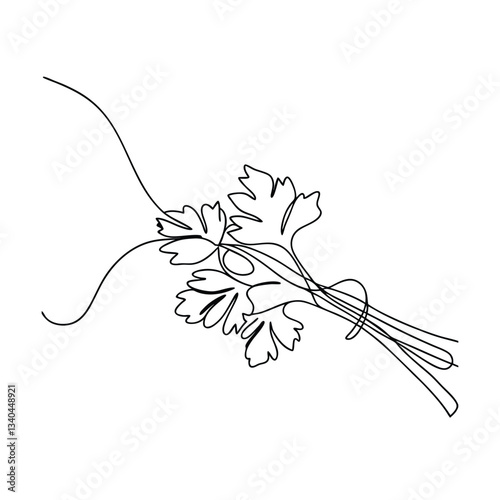 SingleLine Drawing of Fresh Parsley Herb Sprigs