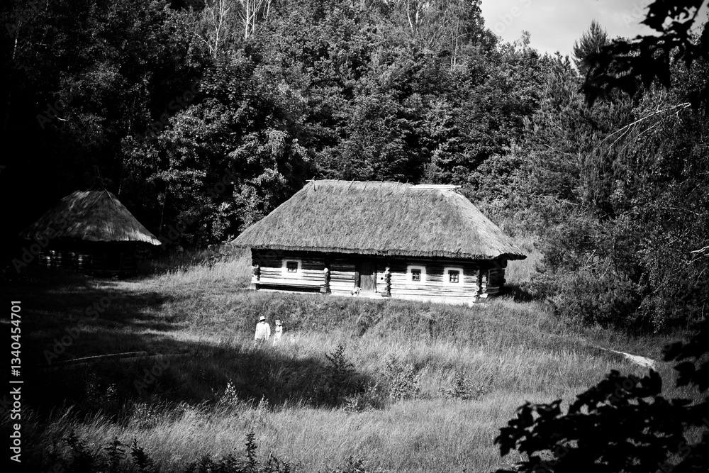Obraz premium old house in the woods