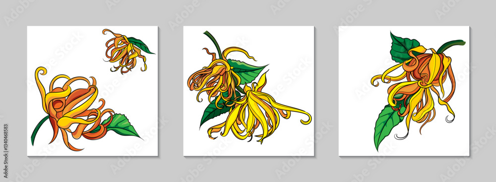 Set of abstract vector banners with floral and nature-themed designs. A set Ylang-ylang yellow flower