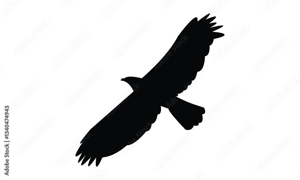 Obraz premium Flying African hawk eagle bird Silhouette Design And Vector Illustration. 