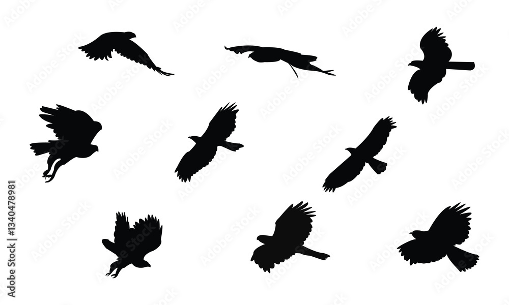 Flying African hawk eagle bird Silhouette Design And Vector Illustration. Flying African hawk eagle bird Silhouette Design And Vector Illustration.