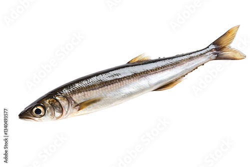 European anchovy fish with silver scales