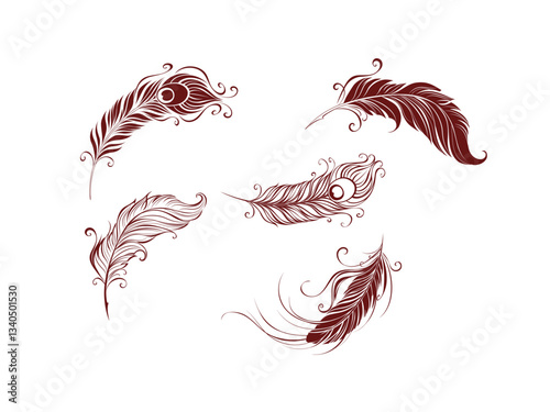 peacock feather vector black