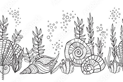Seashells algae underwater world black and white hand drawn vector seamless border for coloring book stationery products