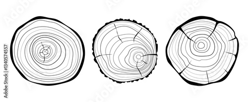 Set of cross sections of tree growth rings. Collection of tree stumps isolated. Slices of tree with growth rings, slabs of tree trunk. Natural wood. Ring pattern, wood texture. Vector design elements