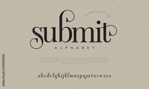 Submit Elegant Font Uppercase Lowercase And Number. Classic Lettering Minimal Fashion Designs. Typography modern serif fonts regular decorative vintage concept. vector illustration