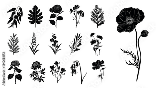 Silhouettes of wildflower botanical illustrations, isolated vector set