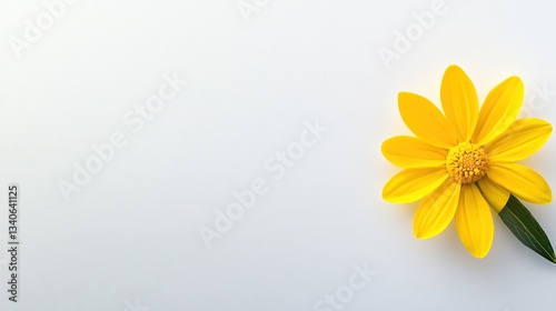 Wallpaper Mural Bright Yellow Flower on White Background Torontodigital.ca