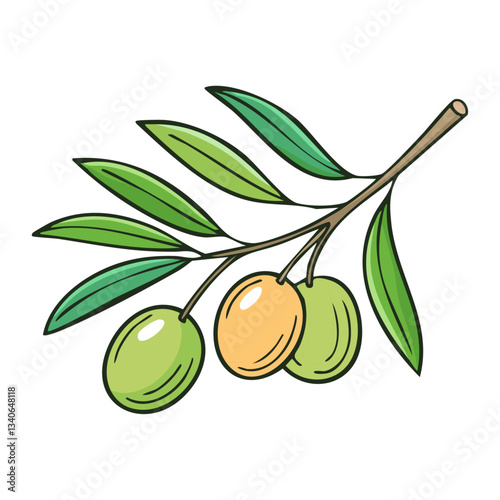 Green olives on a branch vector illustration in sketch style. Mediterranean fruits on a tree on an isolated background. Line art color for packaging and design.