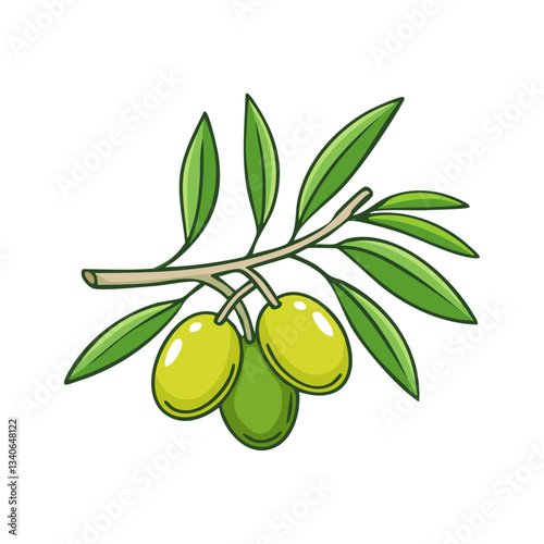 Green olives on a branch vector illustration in sketch style. Mediterranean fruits on a tree on an isolated background. Line art color for packaging and design.